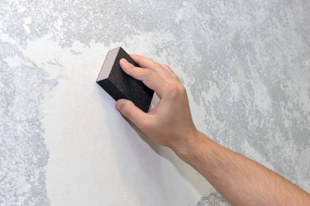 Best Black Mold Removal  in Chillum, MD