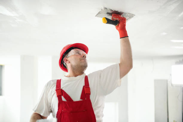 Best Crawl Space Mold Remediation  in Chillum, MD