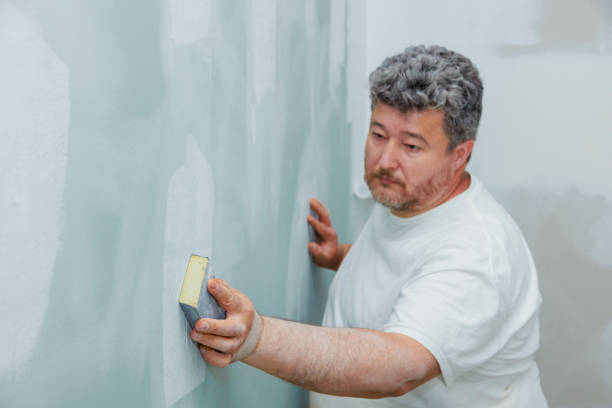 Best Mold Prevention Services  in Chillum, MD