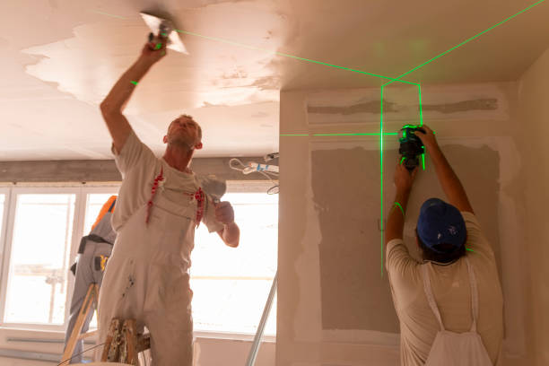 Best Mold Remediation for Healthcare Facilities  in Chillum, MD
