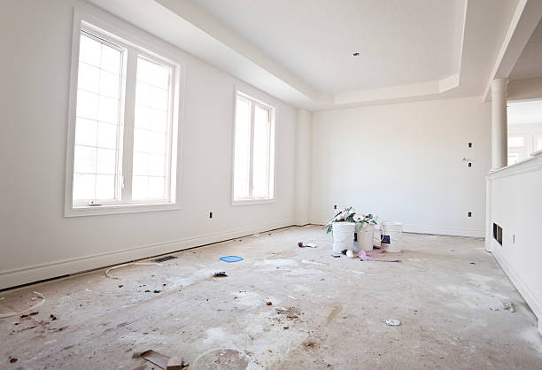 Professional Mold Removal in Chillum, MD