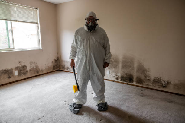 Best Mold Removal for HVAC Installations  in Chillum, MD