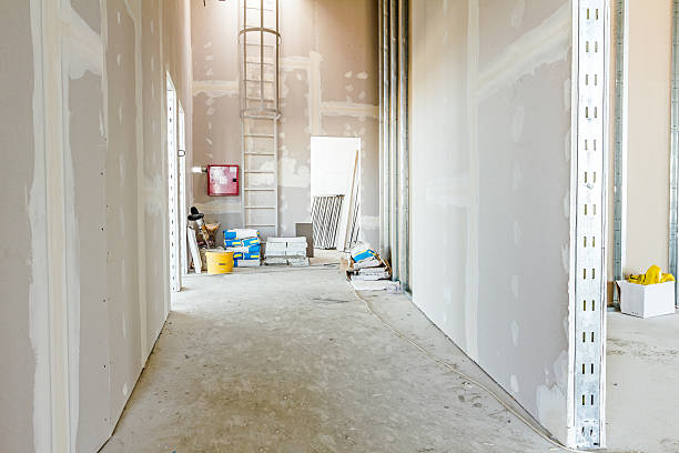 Best Real Estate Mold Inspection  in Chillum, MD