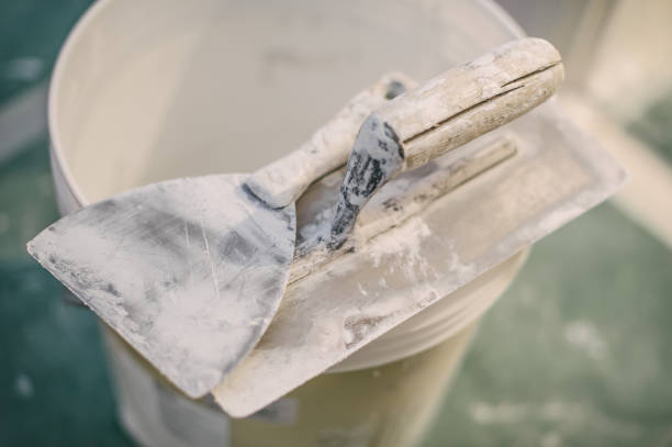 Mold Remediation for Vacation Homes in Chillum, MD