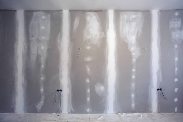Mold Remediation for Rental Properties in Chillum, MD