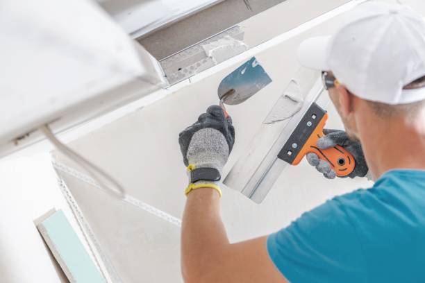 Best Industrial Mold Remediation  in Chillum, MD